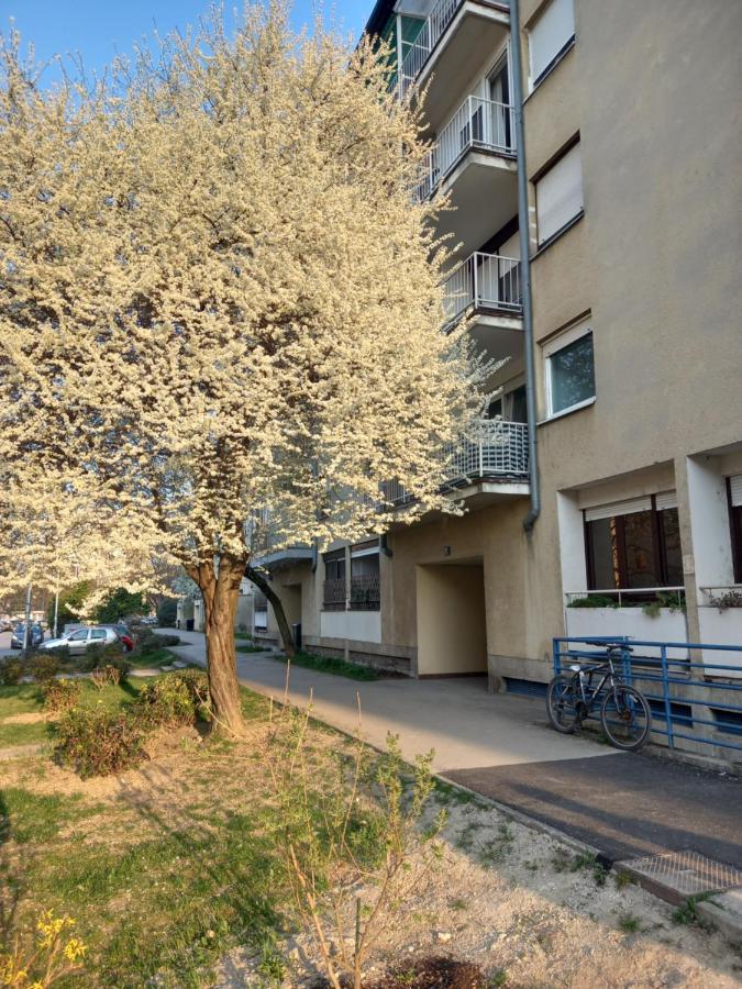 Apartment Jarun Comfort Zagreb Ngoại thất bức ảnh